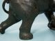 Japanese Old Bronze Okimono Elephant And Tigers Statues photo 10