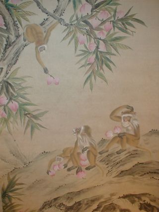 Vintage Chinese Monkeys Plucking Peaches Hand Painted Scroll Kakejiku 371 photo