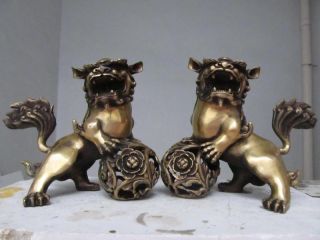 China Classic Imperial Family Favorites Brass Foo Dog Lion The Pair 270 photo