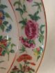 Chinese Porcelain Plate Painted With Flowers,  Birds & Insects 19thc (a) Porcelain photo 6