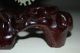 Quality 100% Chinese Xiu Yu Jade Fine Hand - Carved Goldfish With Mahogany Base Nr Other photo 4