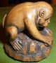 Fine Netsuke Curious Monkey On Tortoise Intricately Carved C20th Signed Rare Netsuke photo 2