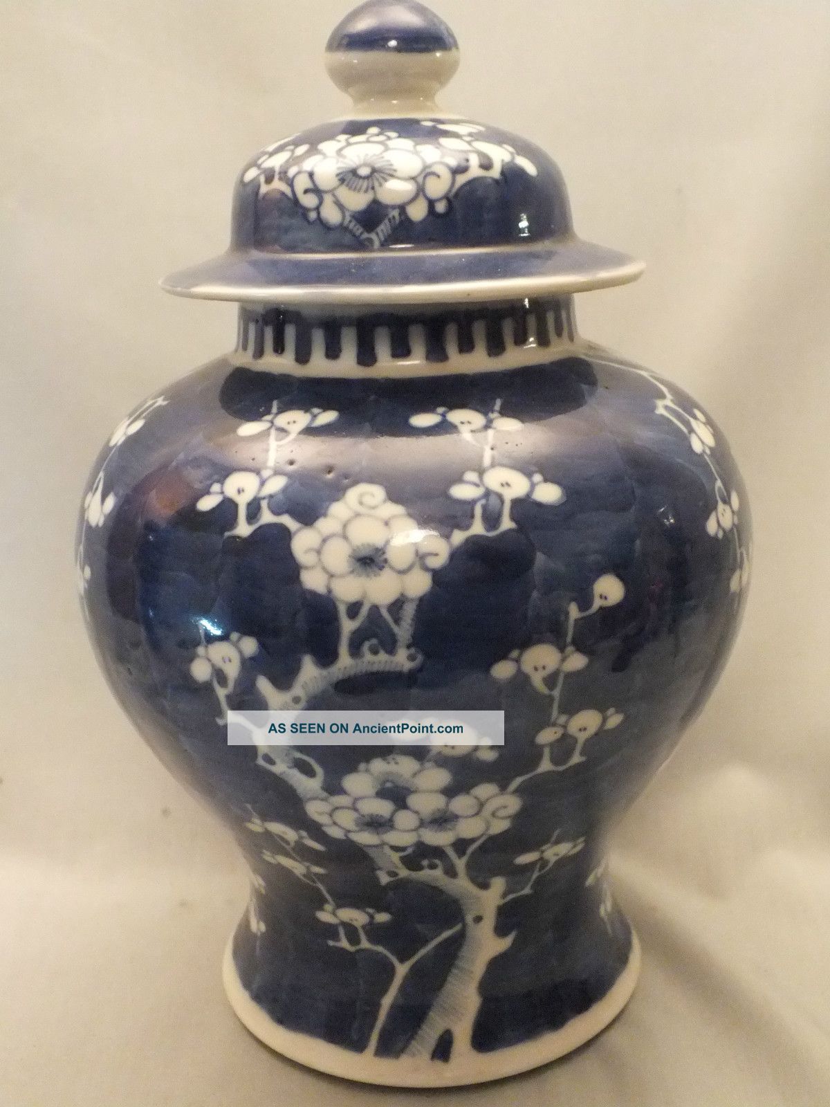 Chinese Porcelain Jar & Cover Painted With Prunus In Underglaze Blue 19thc Porcelain photo