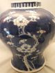 Chinese Porcelain Jar & Cover Painted With Prunus In Underglaze Blue 19thc Porcelain photo 1