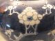 Chinese Porcelain Jar & Cover Painted With Prunus In Underglaze Blue 19thc Porcelain photo 4