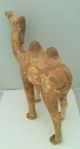 Rare Large Tang Dynasty Pottery Camel Men, Women & Children photo 2