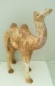Rare Large Tang Dynasty Pottery Camel Men, Women & Children photo 4