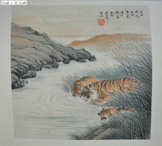 Old Chinese Hand Painted Watercolor Tiger Painting Scholar Art photo