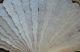 Unique Rare Mid - 19th C.  Cantonese Chinese Carved Mother Of Pearl Ox Bone Fan Fans photo 11
