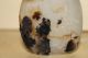 Chinese Shadow Agate Carved Snuff Bottle Snuff Bottles photo 4