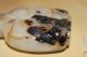 Chinese Shadow Agate Carved Snuff Bottle Snuff Bottles photo 7