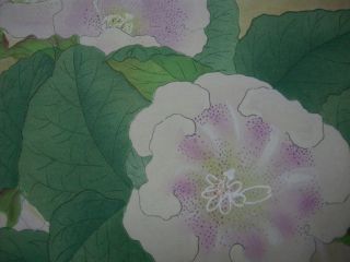 Old Japanese Woodblock Prints Botanical Flowers Tsunate Mifune 7 photo