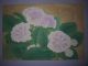 Old Japanese Woodblock Prints Botanical Flowers Tsunate Mifune 7 Prints photo 1