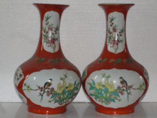 Pair China Qing Dynasty Period Flowers Bird Vase photo