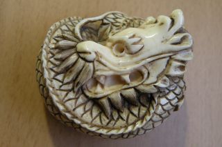 Vintage Japanese Netsuke Faux Ivory Ox Bone Old Antique Dragon Signed Rare photo