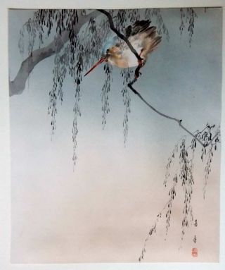 Japanese Woodblock Print Artist Yoshimoto Gesso Bird Painting photo