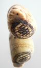 Antique Netsuke.  Precious Material.  Mouse On A Bale Of Hay.  19th C. Netsuke photo 1