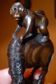 Fine Dark Wood Netsuke Monkey On Horse Intricately Carved Rare Signed C20th Netsuke photo 1