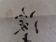 Chinese Painting & Scroll Makuri Only Paper W/booklet 1 范曽 Paintings & Scrolls photo 2