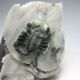 100% Natural Chinese Dushan Jade Hand - Carved Statue - - Scorpion Nr/nc1729 Other photo 2