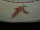Antique Chinese Armorial ~stuart Of Bute ~nobilis Est.  Ira Leoni~porcelain Plate Plates photo 2