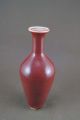 Chinese Monochrome Red Glazed Porcelain Vase Vases photo 1