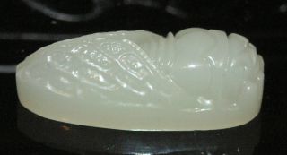 Ancient Chinese Old Hetian White Jade Hand - Carved,  Pendant (carved Jade Cicada) photo