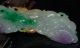 Chinese Natural Jadeite Level A Hand - Carved Statues Squirrel & Ganoderma Nr Other photo 5