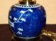 Chinese Blue & White Hawthorn Prunus Ginger Jar/lamp Qing Circa 1900 Pots photo 2