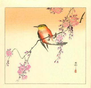 Koson Japanese Woodblock Print Songbird On A Flowering Branch 1920s photo