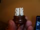 Faux Ivory Three Wise Monkeys Miniature Carving On Hardwood Base Circa 1920s Other photo 1