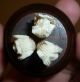 Faux Ivory Three Wise Monkeys Miniature Carving On Hardwood Base Circa 1920s Other photo 3
