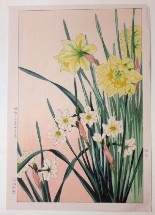 Japanese Woodblock Print Hodo Shin Hanga Flowers photo