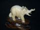 Antique Authentic Chinese Hand Carved Ox - Bone Elephant Statue W/stand Other photo 6