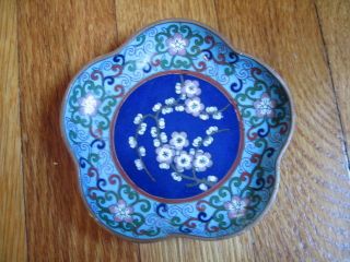 Old Chinese Cloisonne 5 Lobed Dish Or Tray - Good Age And Good Condition photo