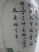 Magnificent Huge Antique Chinese Porcelain Light Canton Vase 19th Century Plates photo 6