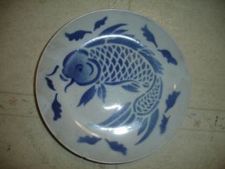 Chinese 20th Early Blue White Fish Plate photo