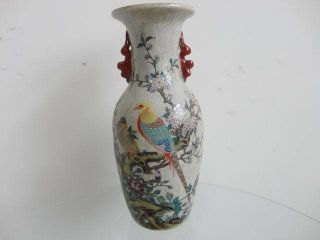 Chinese Porcelain Glaze Vase Painting Of Flowers And Birds In Traditional Style photo