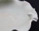 Antique Chinese Old Rare Beauty Of The Porcelain Bixi Bowls photo 3