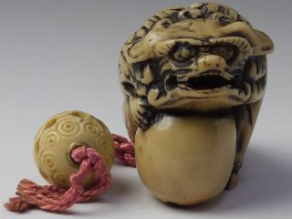 A Carved Japanese Old Antiques Lion Netsuke W/ Ojime photo