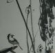 Excellent Chinese Mounted Painting Of Flower & Bird By Xie Zhiliu Paintings & Scrolls photo 3