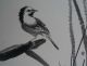Excellent Chinese Mounted Painting Of Flower & Bird By Xie Zhiliu Paintings & Scrolls photo 5