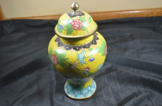 Chinese Bronze Flower Vase photo