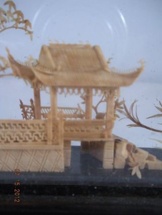 Vintage Chinese Carved Cork Art In Glass And Wood Case Amazing Detail photo