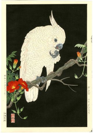 Nishimura Hodo Japanese Woodblock Print Cockatoo 1938 photo