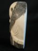Antique Japanese Ox Bone Etched And Inked Netsuke Of A Coala Good Cond Netsuke photo 7