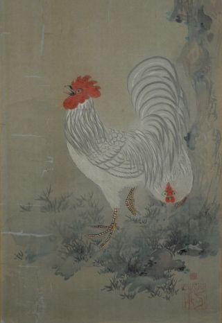 380 Japanese Jiku Kakejiku Hanging Scroll Japan　art White Hen Chicken photo