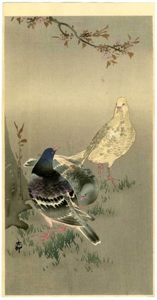 Koson Japanese Woodblock Print Pigeons & Blossoms photo