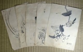 Woodblock Print / Set Of 5 Birds / Japanese / Antique photo
