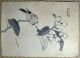 Woodblock Print / Set Of 5 Birds / Japanese / Antique Prints photo 1